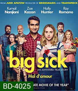 The Big Sick (2017) รักมันป่วย (ซวยแล้วเราเข้ากันไม่ได้)