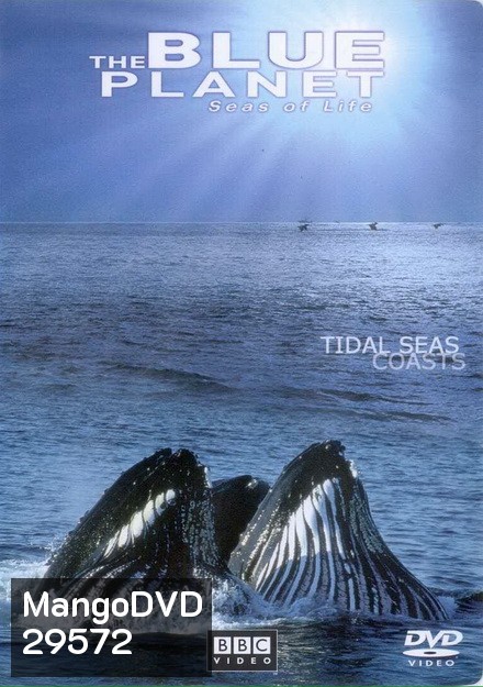BLUE PLANET ตอน TIDAL SEAS COASTS