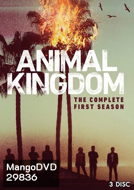 ANIMAL KINGDOM ตระกูลชั่ว ครอบครัวโจร Season 1 (10 ตอนจบ)
