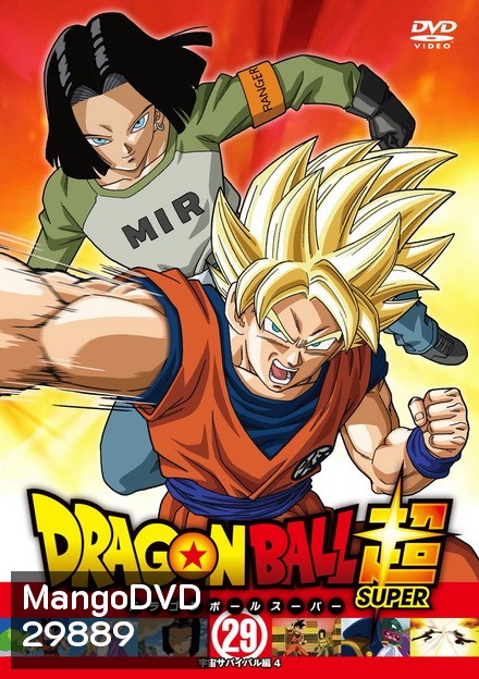 Dragon Ball Super Vol.29