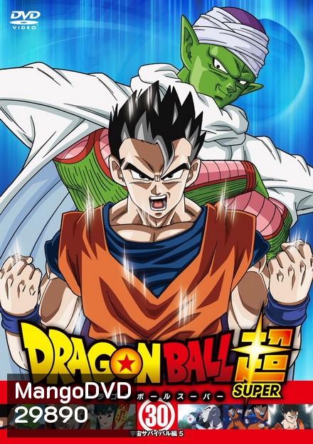 Dragon Ball Super Vol.30