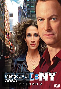 CSI New York Season 6 ไขคดีปริศนานิวยอร์ค ปี 6