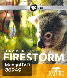 Nature: Survivors of the Firestorm