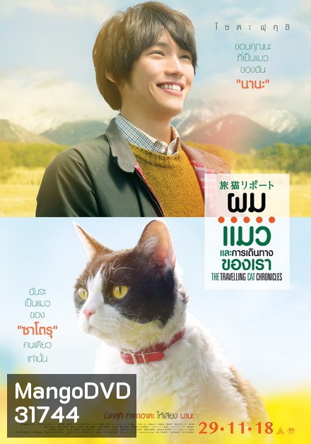ผม แมว และการเดินทางของเรา The Travelling Cat Chronicles