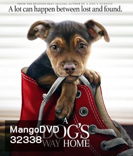 A Dog's Way Home (2019) เพื่อนรักผจญภัยสี่ร้อยไมล์