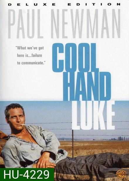 Cool Hand Luke (1967)  คนสู้คน