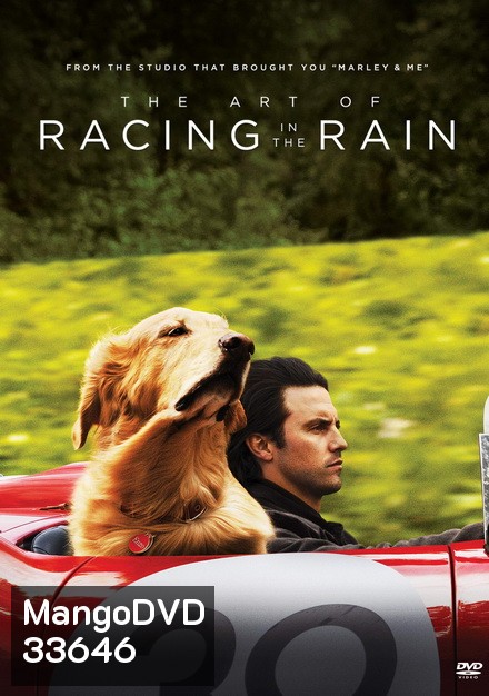The Art of Racing in the Rain (2019) อุ่นไอหัวใจตูบ