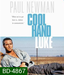 Cool Hand Luke (1967) คนสู้คน
