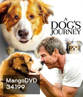 A Dog's Journey (2019) หมา เป้าหมาย และเด็กชายของผม 2
