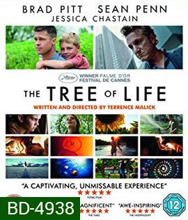 The Tree of Life (2011) ต้นไม้แห่งชีวิต