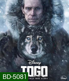 Togo (2019) หมาป่า โตโก