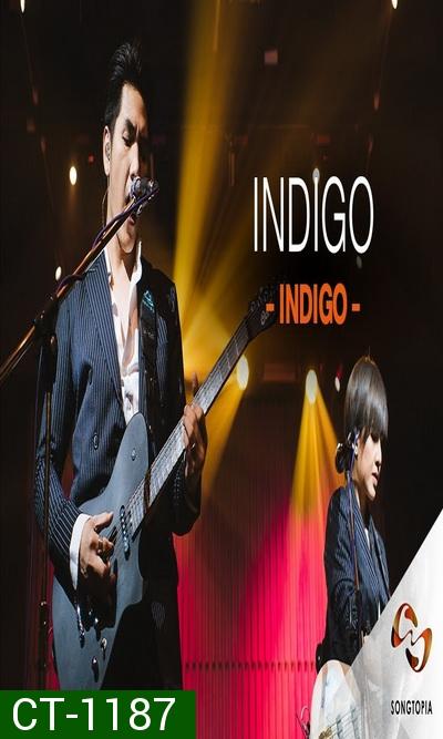 Songtopia Livehouse By AIS PLAY Present FRIENDEVER Colorpitch และ Indigo 