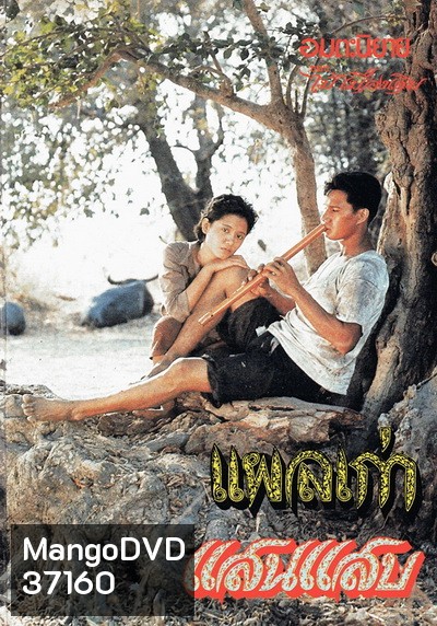 แผลเก่า (2520) (สรพงศ์ ชาตรี)
