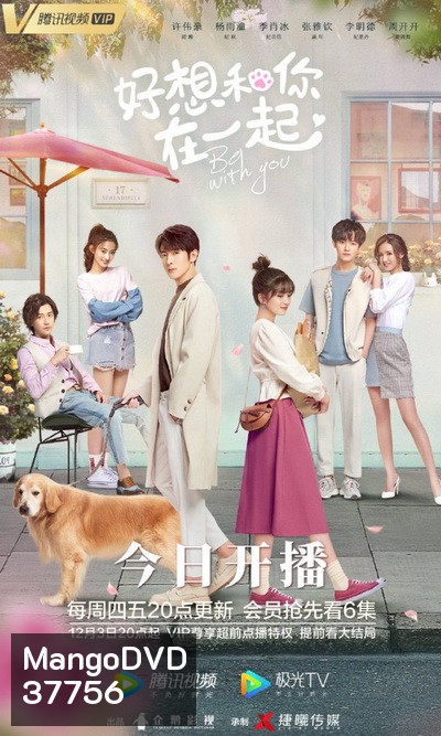 ละลายรักนายมาดนิ่ง Be With You [ EP.1-24 END ]