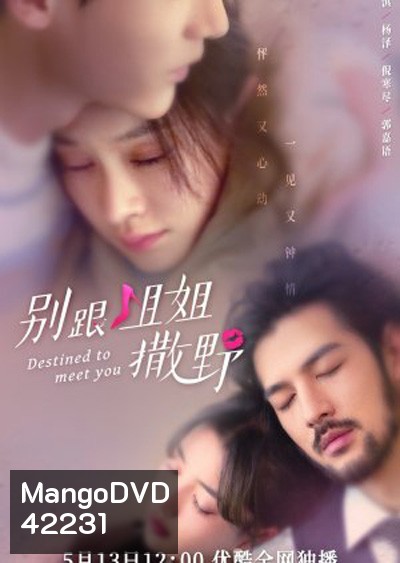 Destined to meet you (2022) เดสทินี รักนี้พี่ขอ (20 ตอนจบ)