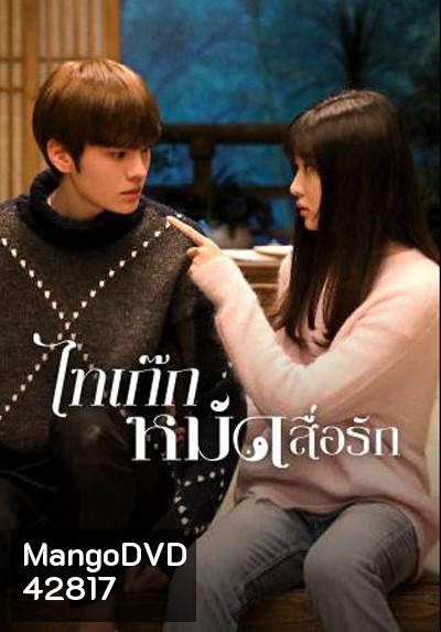 Sweet Tai Chi (2019) ไทเก๊กหมัดสื่อรัก (24 ตอนจบ)