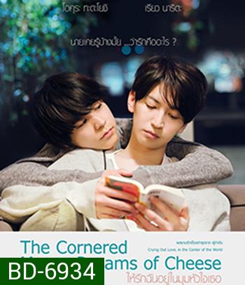 The Cornered Mouse Dreams of Cheese (2020) ให้รักฉันอยู่ในมุมหัวใจเธอ