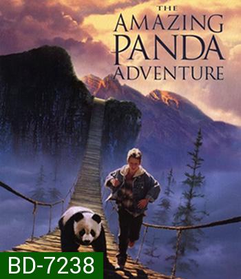 The Amazing Panda Adventure (1995) แพนด้าน้อยผจญภัยสุดขอบฟ้า