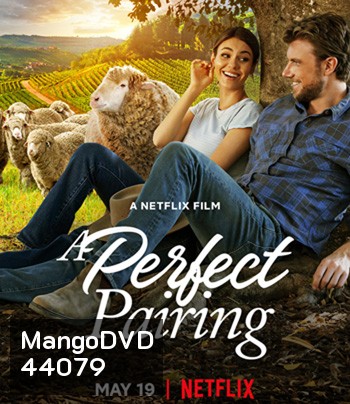 A Perfect Pairing (2022) คู่นี้... คือเพอร์เฟค