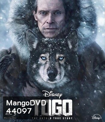 4K - Togo (2019) โตโกหมาป่ายอดนักสู้ - แผ่นหนัง 4K UHD