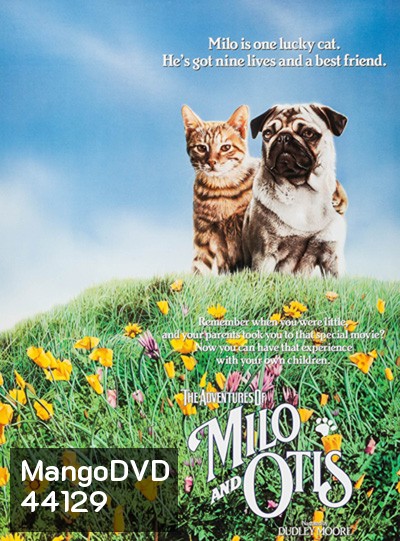 The Adventures of Milo and Otis (1986) แมวจ๋าหมาอยู่นี่