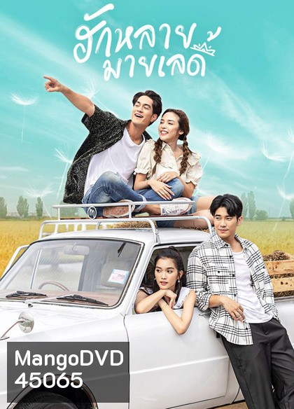 ฮักหลายมายเลดี้ (2566) 17 ตอนจบ