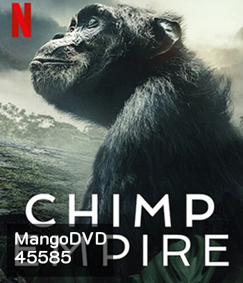 Chimp Empire (2023) อาณาจักรซิมแปนซี