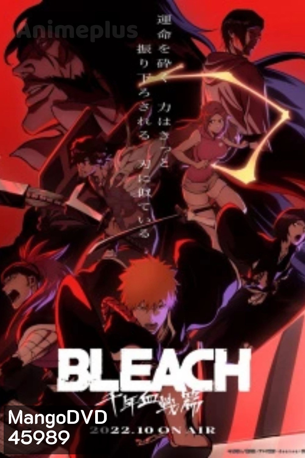 บลีช เทพมรณะ สงครามเลือดพันปี Bleach Thousand-Year Blood War Season 1 (13 ตอนจบ)
