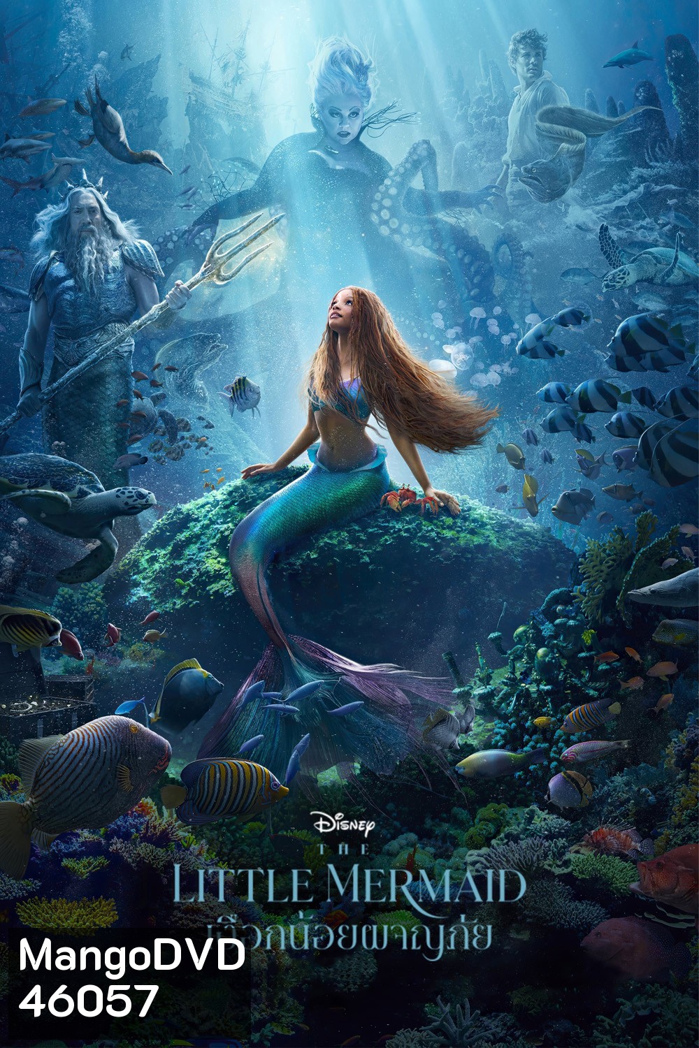 (Zoom ซูม) The Little Mermaid (2023) เงือกน้อยผจญภัย (ดูภาพตัวอย่างด้านใน)