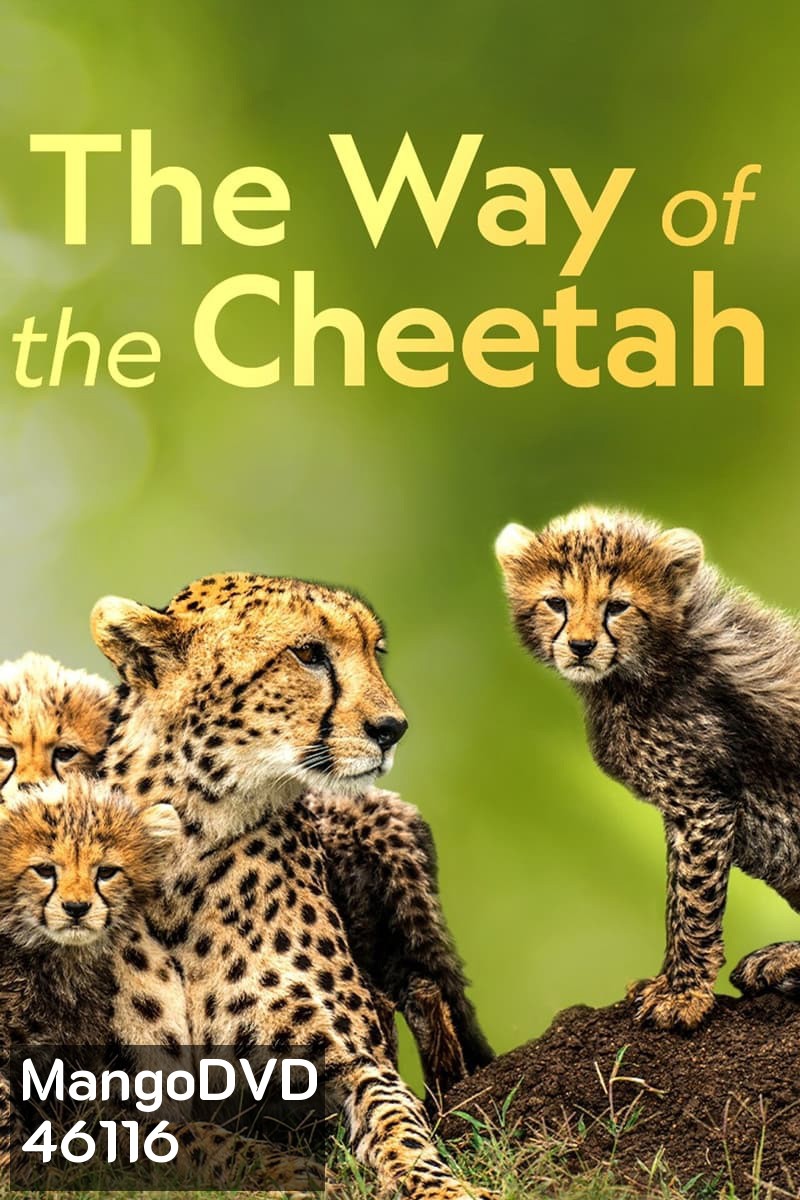 Big Cat Week - The Way of the Cheetah (2022)