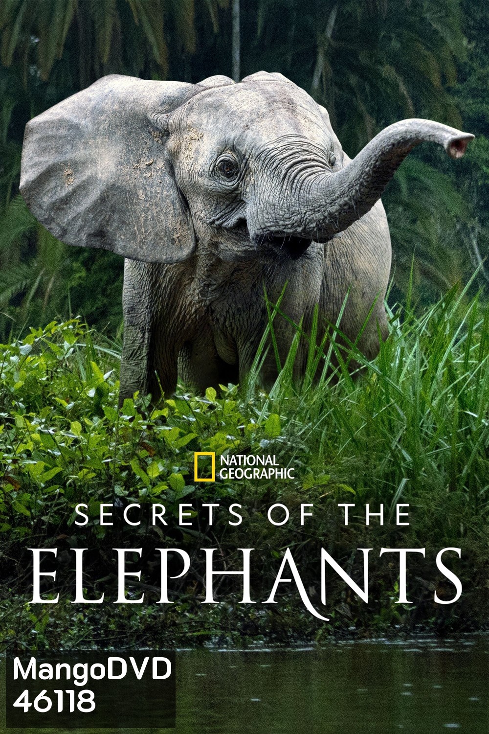 Secrets of the Elephants (2023) 4 ตอน