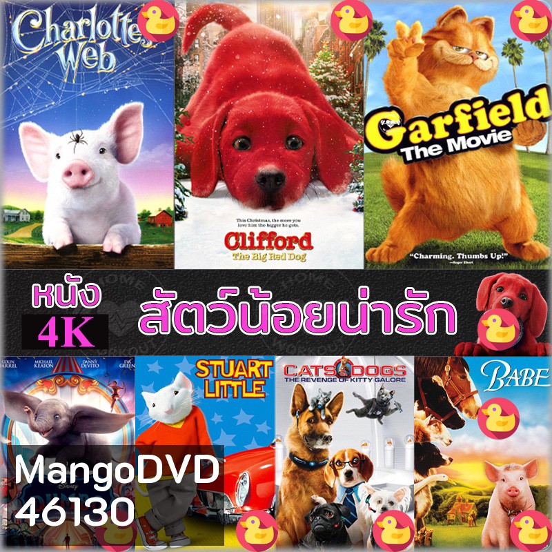 4K หนัง สัตว์น้อยน่ารัก ปีเตอร์แรบบิท หมาแมว เบ๊บ แมงมุมเพื่อนรัก 4K