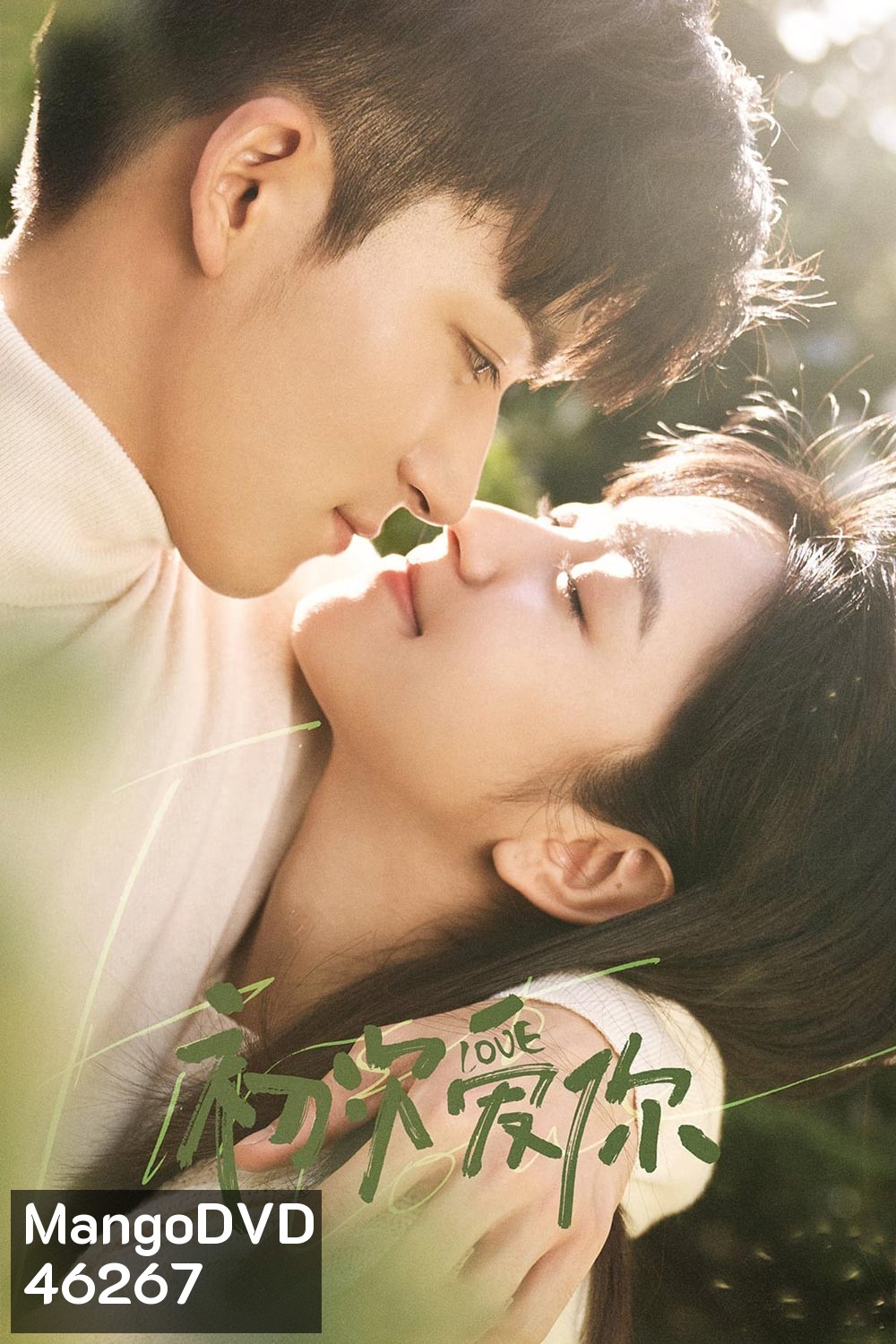 วุ่นนัก โจทย์รักแรก (2022) First Love (24 ตอนจบ)