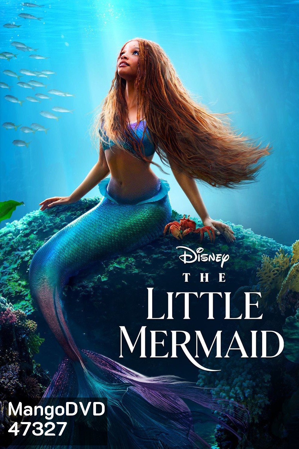 [ชนโรง!..ชัด + V.2 - ดูรูปตัวอย่างด้านล่าง ] The Little Mermaid (2023) เงือกน้อยผจญภัย