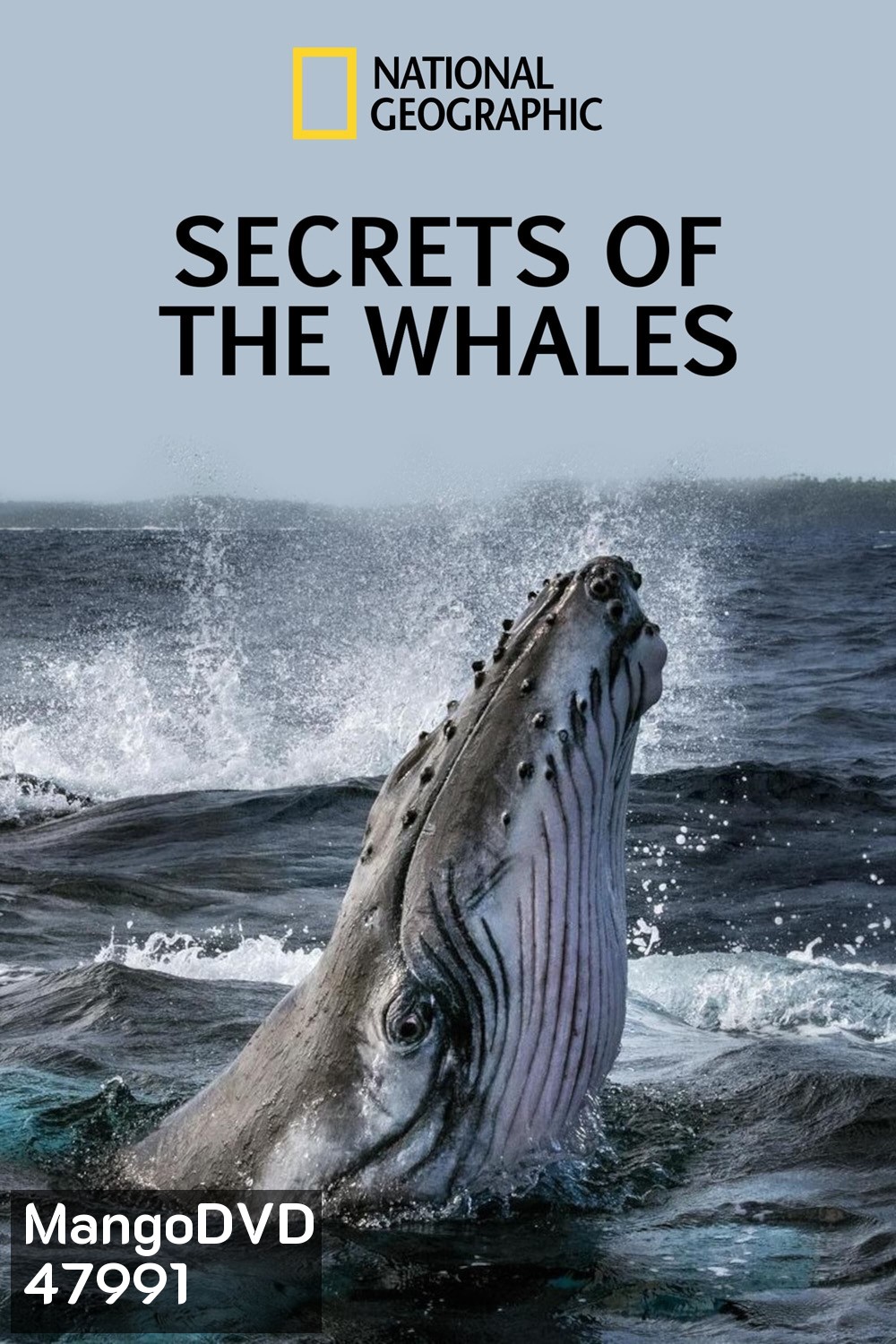 Secrets of the Whales ( 2021) ความลับของเหล่าวาฬ