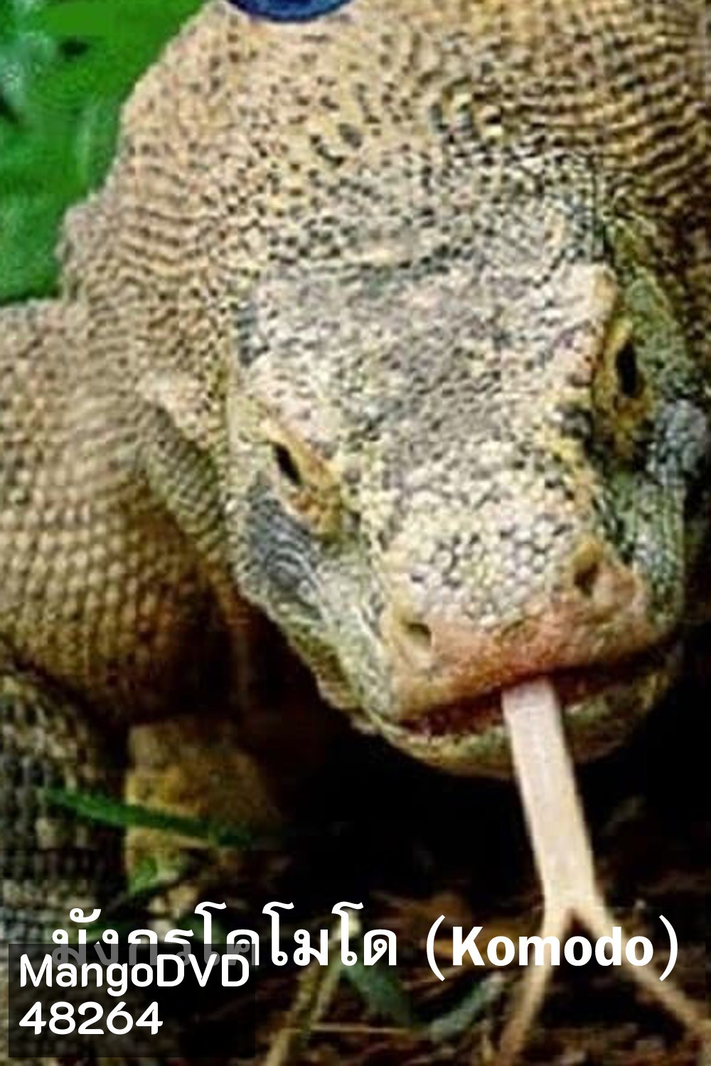 Komodo Dragons (2007) มังกรโกโมโด