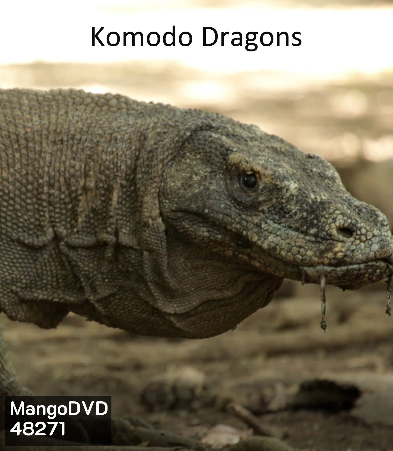 มังกรโกโมโด Komodo Dragons (2007)