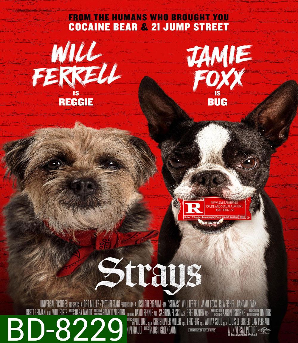 ชีวิตหมาต้องไม่หมา Strays (2023)