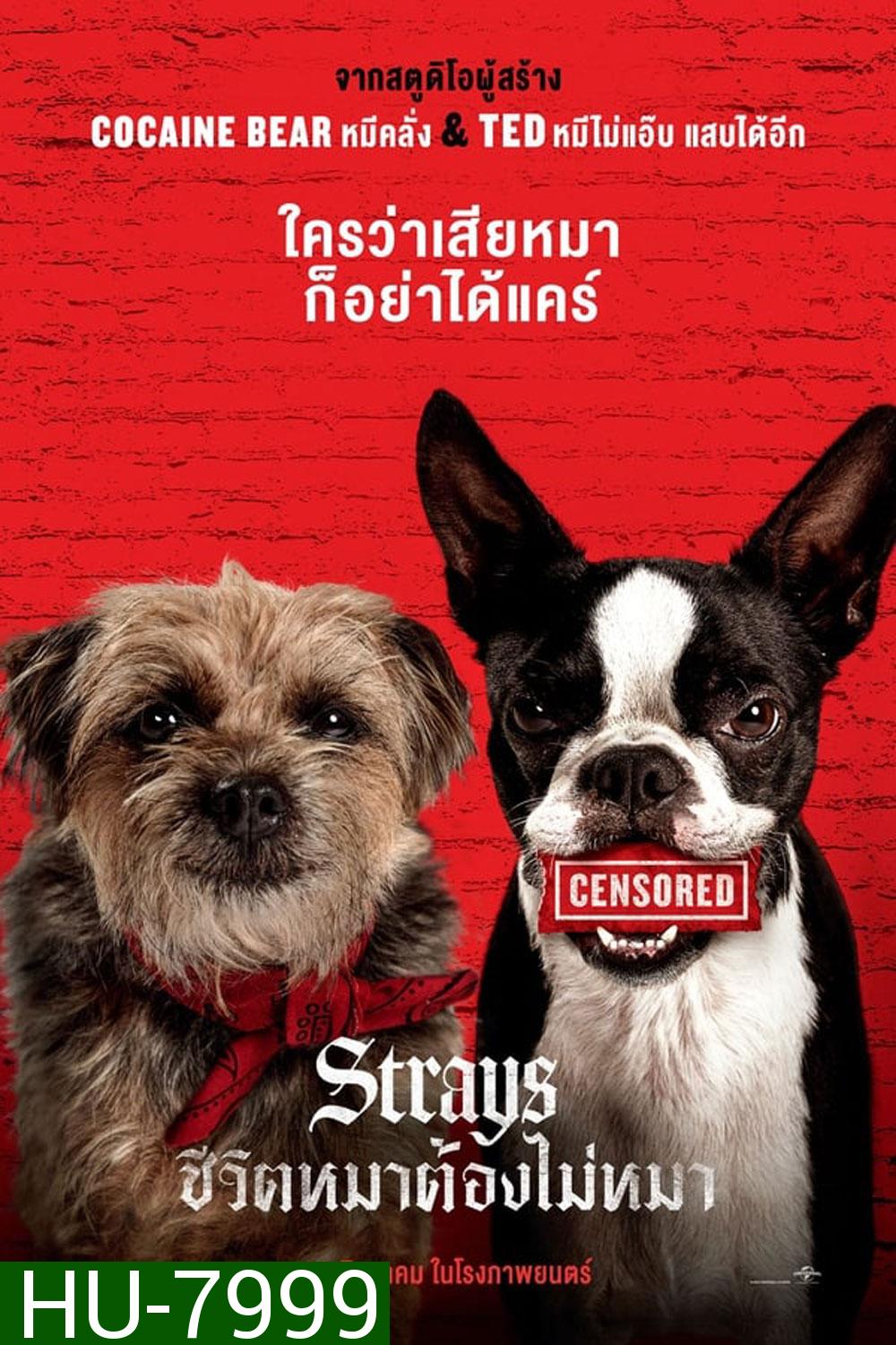Strays (2023)ชีวิตหมาต้องไม่หมา