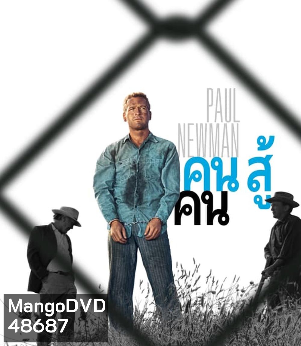 4K - Cool Hand Luke (1967) คนสู้คน - แผ่นหนัง 4K UHD