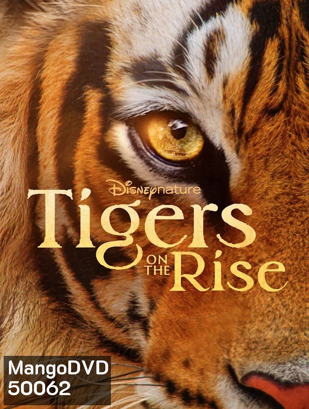 Tigers on the Rise (2024)