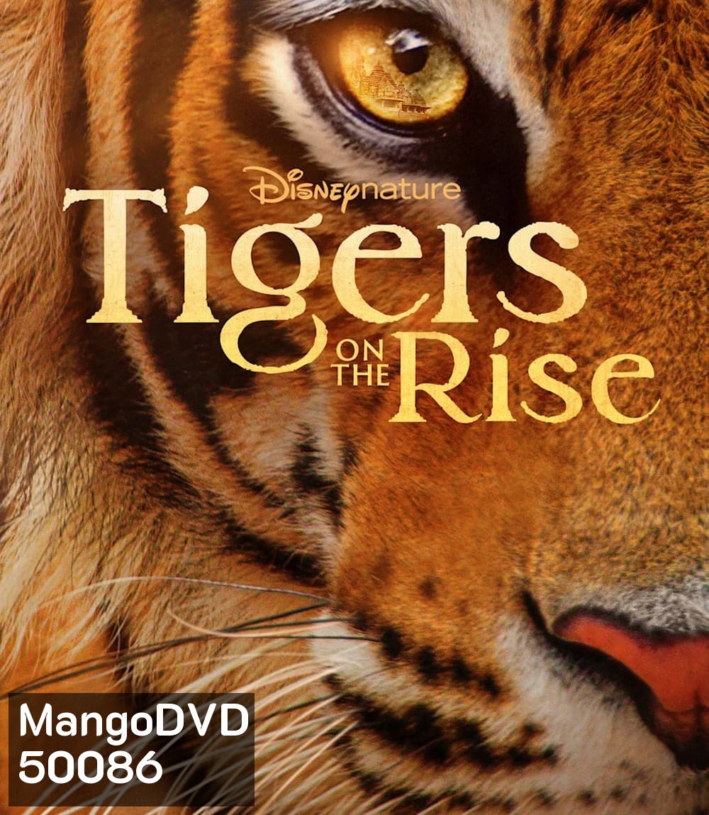 Tigers on the Rise {2024}