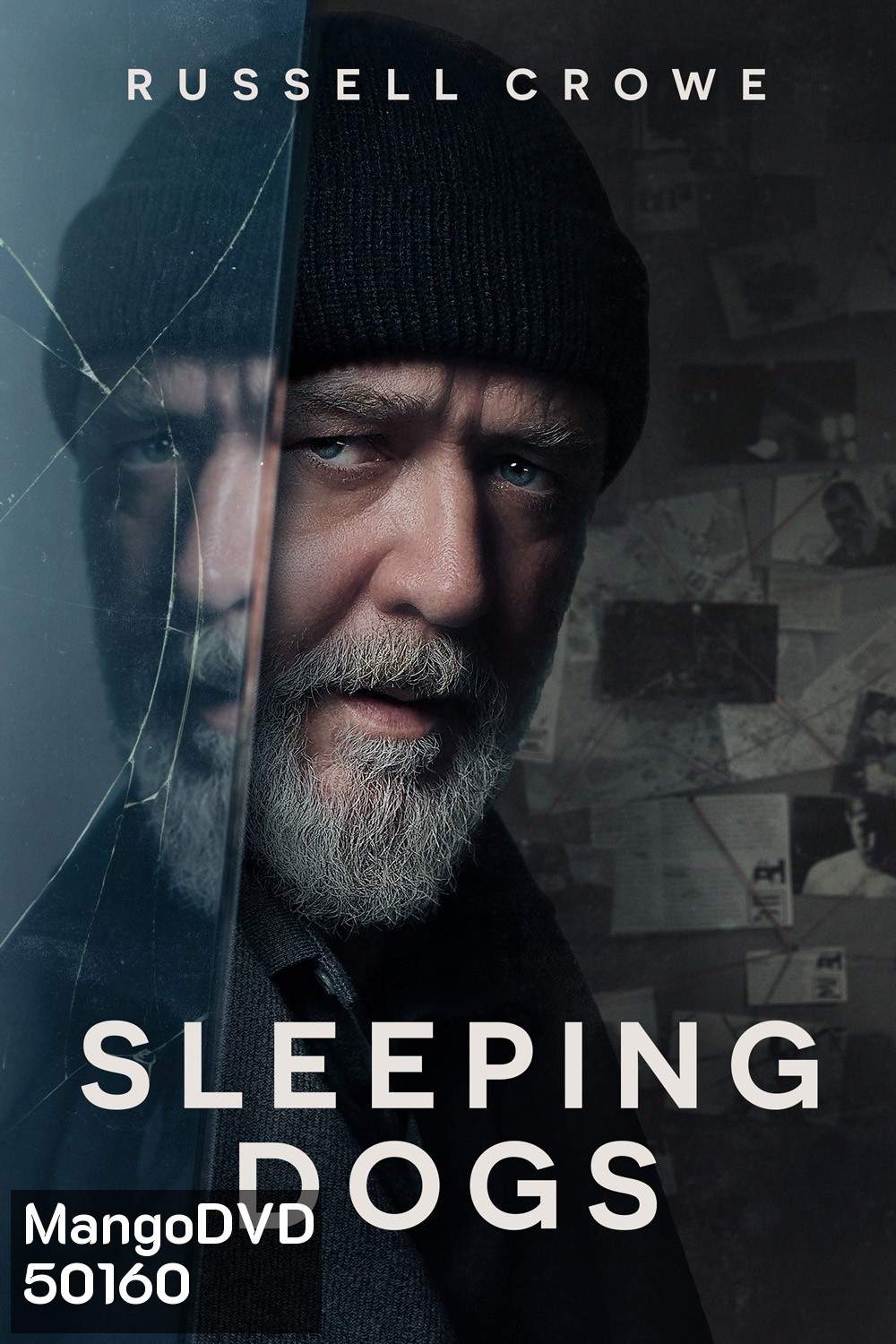 Sleeping Dogs 2024