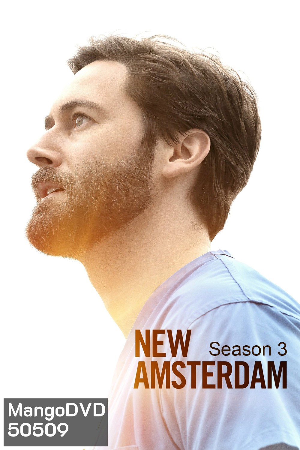 New Amsterdam Season 3 นิว อัมสเตอร์ดัม ปี 3 (2021) 14 ตอน
