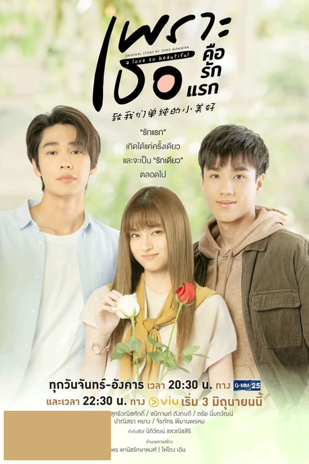 A Love So Beautiful เพราะเธอคือรักแรก (2024)