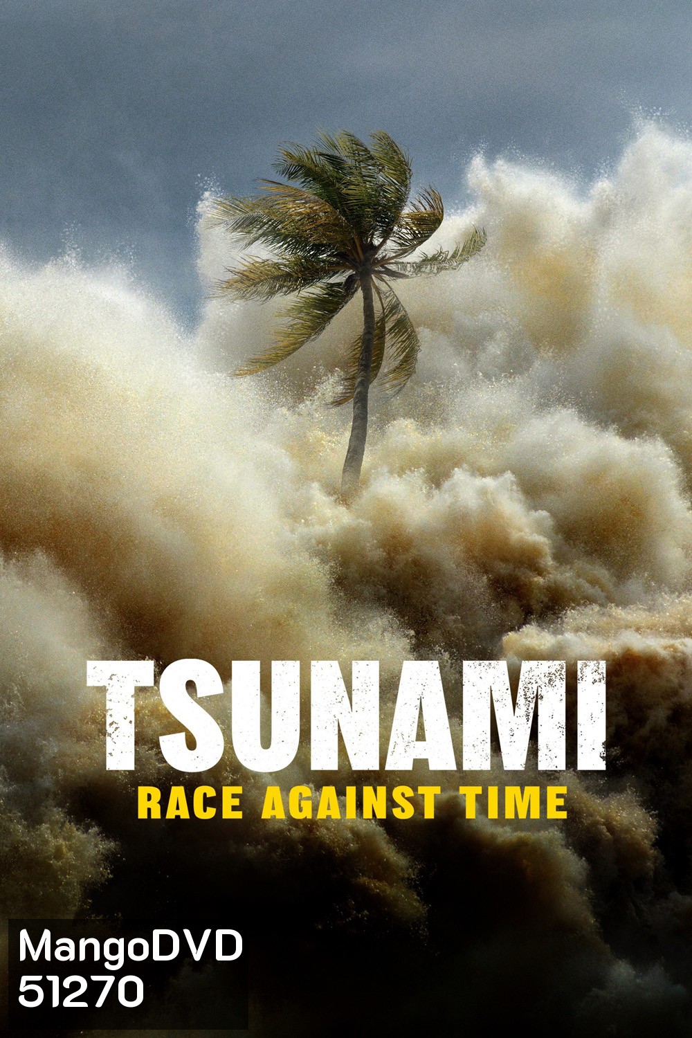 Tsunami Race Against Time (2024)