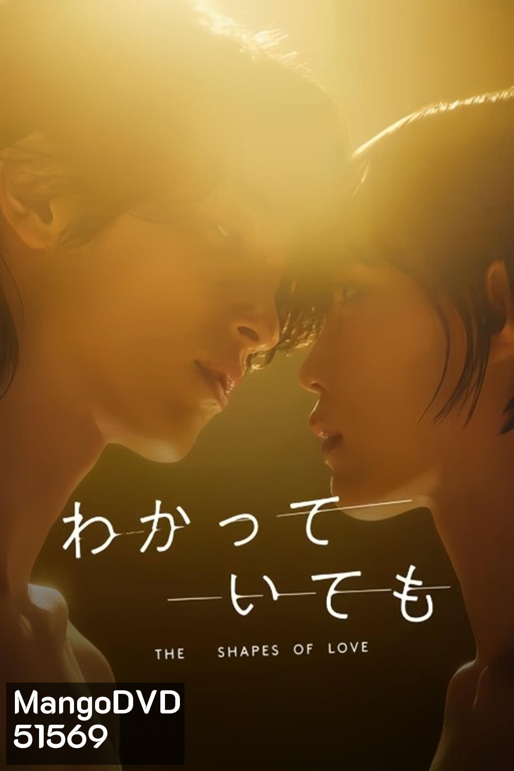 Nevertheless: The Shapes of Love อย่างไรก็ตาม… เส้นสายลายรัก (2024) 8 ตอนจบ