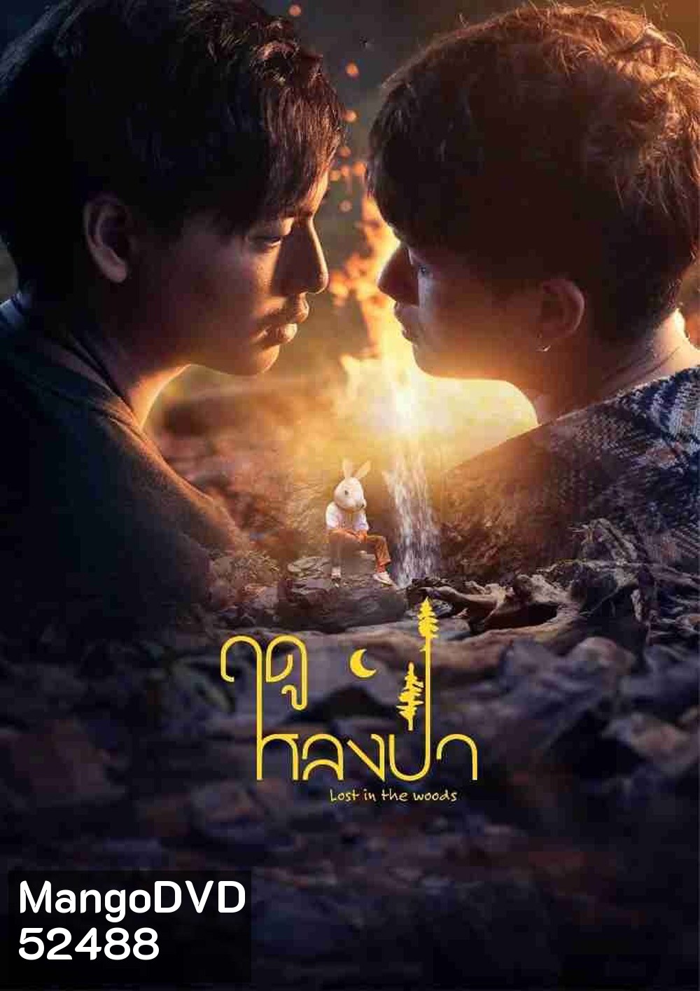 [Y Series] Lost in the Woods ฤดูหลงป่า (2025) EP.01-EP.07 จบ