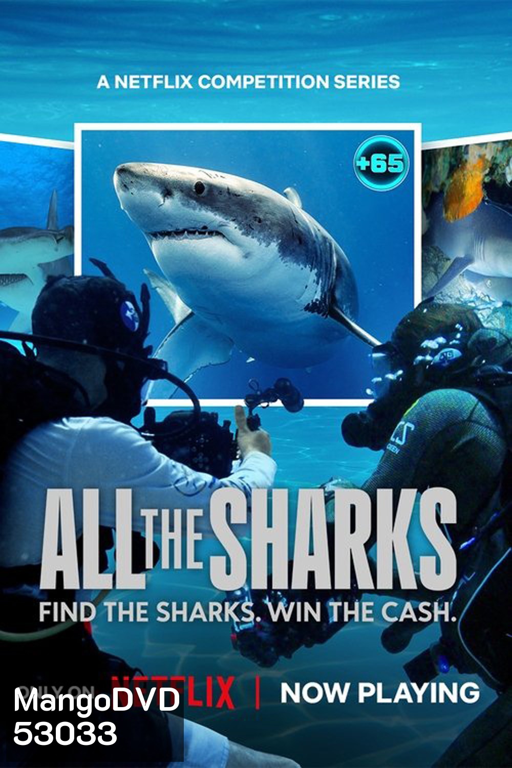 All the Sharks เกมล่าหาฉลาม Season 1 (2025) 6 ตอน