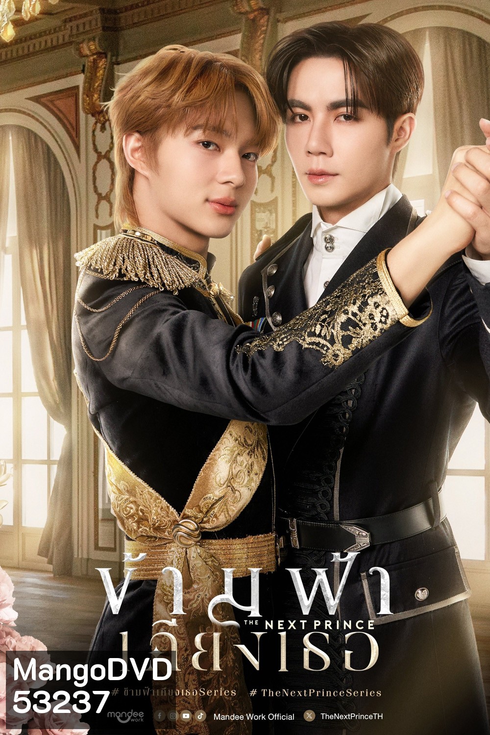 {ซีรีส์วาย} ข้ามฟ้าเคียงเธอ The Next Prince (2025) 14 ตอนจบ